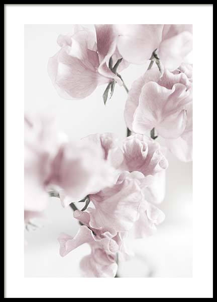 Summer Dream No1 Juliste ryhmässä Julisteet / Valokuvat @ Desenio AB (10405)