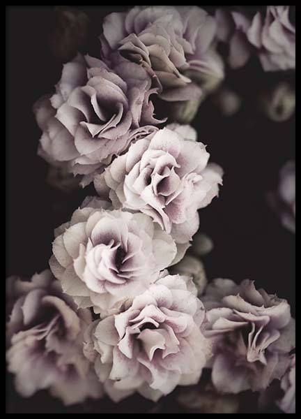 Bouquet De Fleurs Juliste ryhmässä Julisteet / Valokuvat @ Desenio AB (10433)