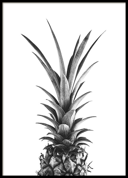 Pineapple B&W Juliste ryhmässä Julisteet / Mustavalkoiset @ Desenio AB (10658)