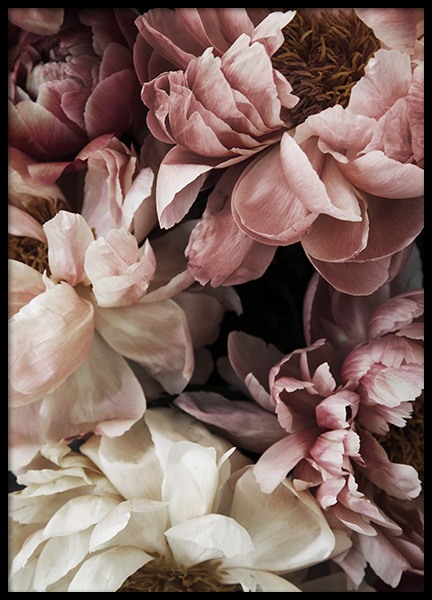 Flower Wall Juliste ryhmässä Julisteet / Valokuvat @ Desenio AB (10990)