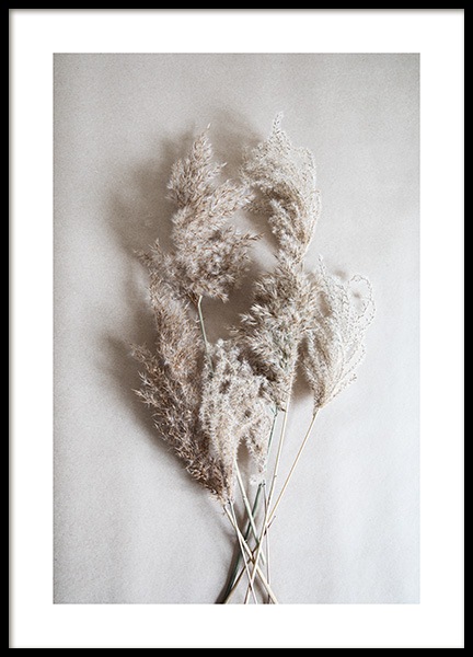 Bouquet of Autumn Reeds Juliste ryhmässä Julisteet / Valokuvat @ Desenio AB (11798)