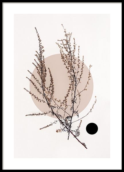 Dried Leaf No4 Juliste ryhmässä Julisteet / Kasviaiheet @ Desenio AB (11805)