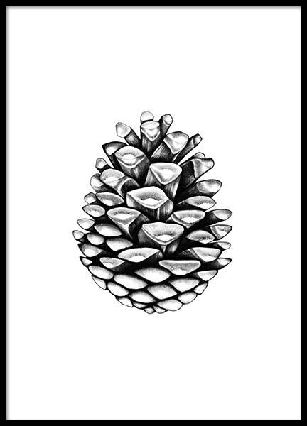 Pinecone Juliste ryhmässä Julisteet / Mustavalkoiset @ Desenio AB (2274)