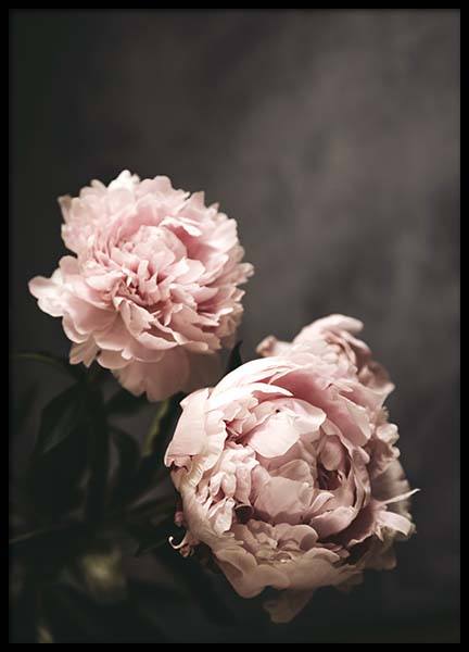 There's Beauty Juliste ryhmässä Julisteet / Valokuvat @ Desenio AB (2788)