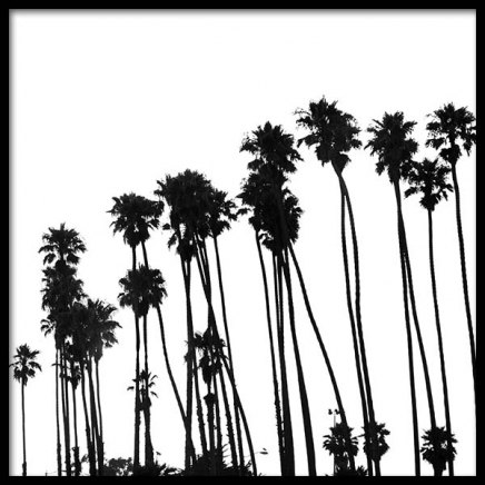 Venice Beach Palm Trees No1 Juliste ryhmässä Julisteet / Mustavalkoiset @ Desenio AB (3776)
