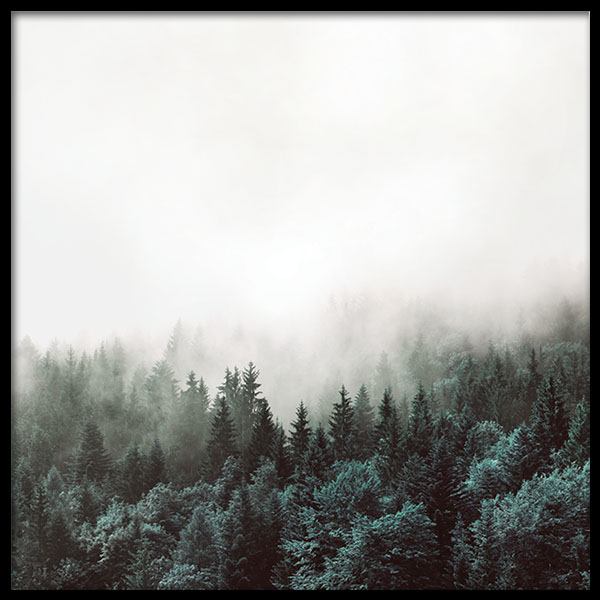 Tree Tops, Juliste ryhmässä Julisteet / Luontoaiheet @ Desenio AB (8587)