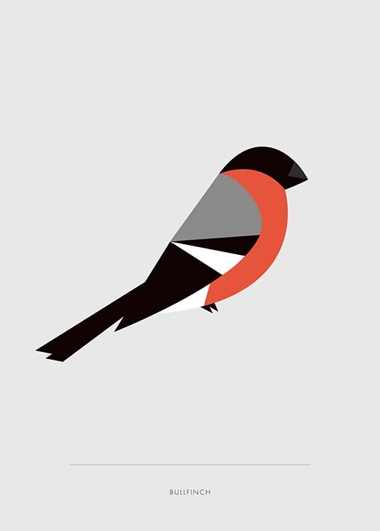Bullfinch Juliste