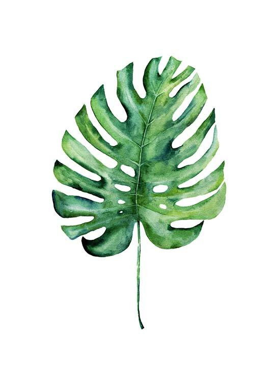 Monstera Aquarell One Juliste