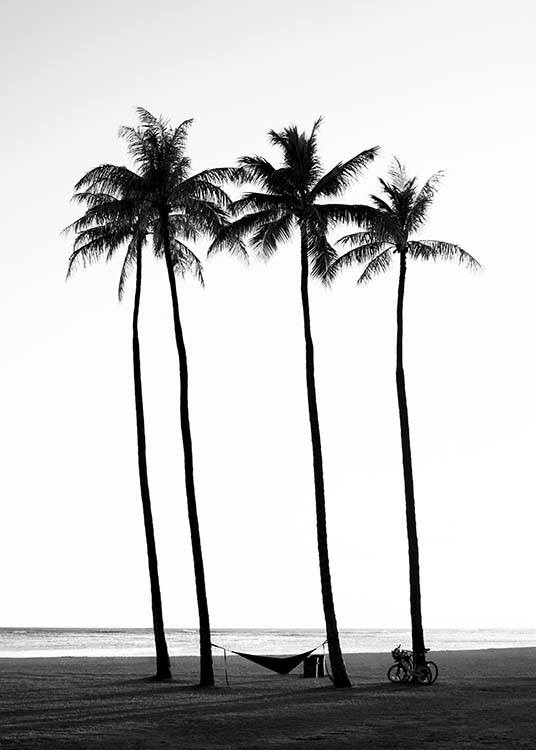  – Mustavalkoinen valokuva palmupuista rannalla