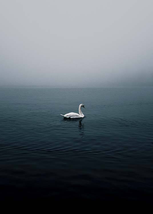 Misty Swan Lake Juliste