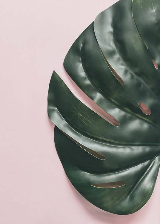 Leaf On Pink Juliste