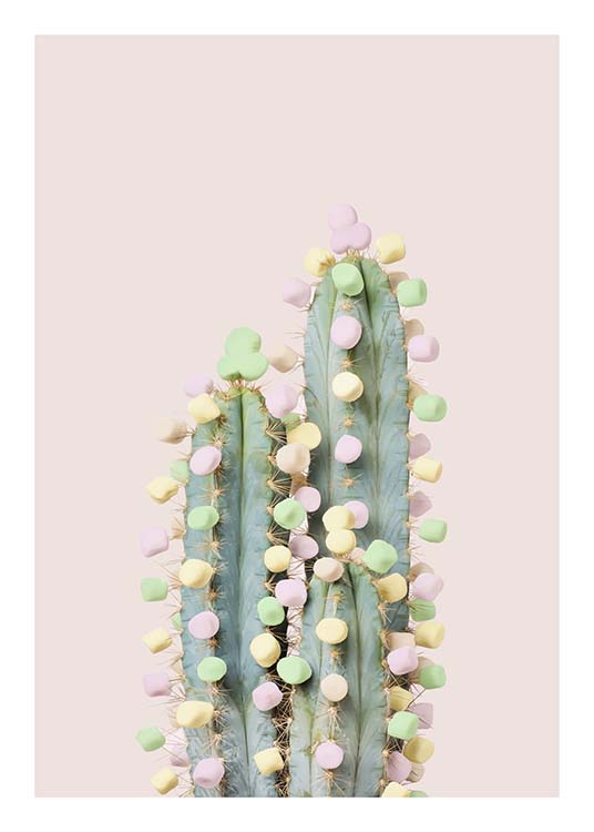 Candy Cactus Juliste