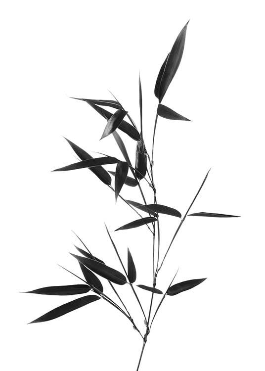 Bamboo Twig Juliste / Mustavalkoiset Osoitteessa Desenio ab (10390)