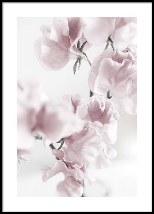 Summer Dream No1 print