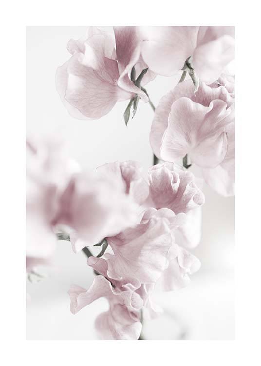 Summer Dream No1 Juliste