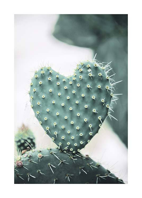 Heart Cactus Juliste
