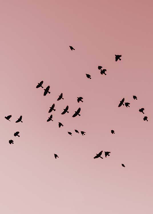 Pink Bird Sky Juliste