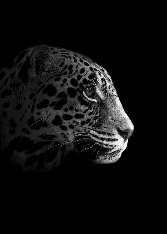 Leopard From Side Juliste / Mustavalkoiset Osoitteessa Desenio ab (10494)