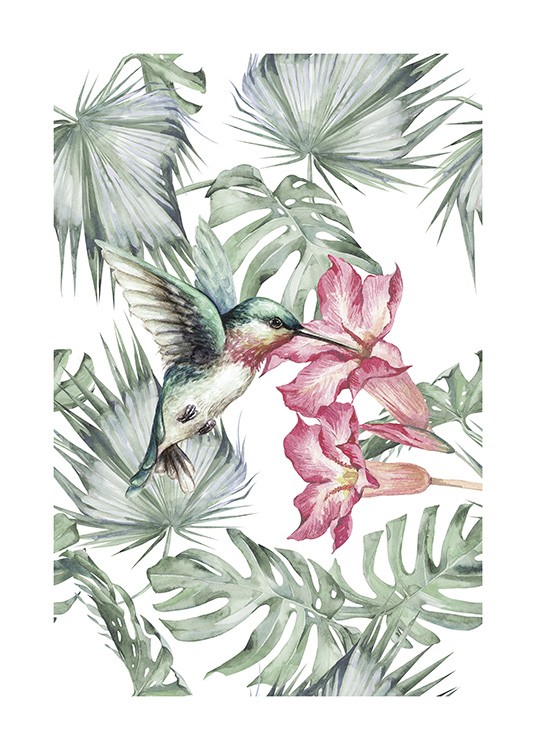 Tropical Bird No1 Juliste