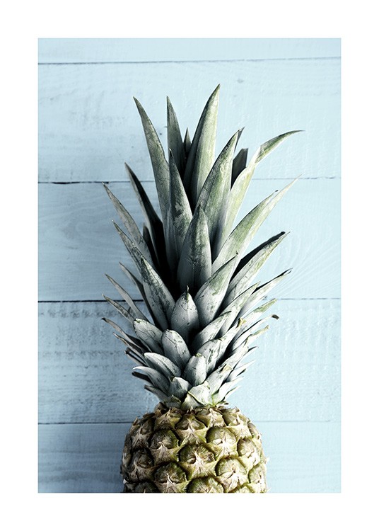 Pineapple Top Juliste