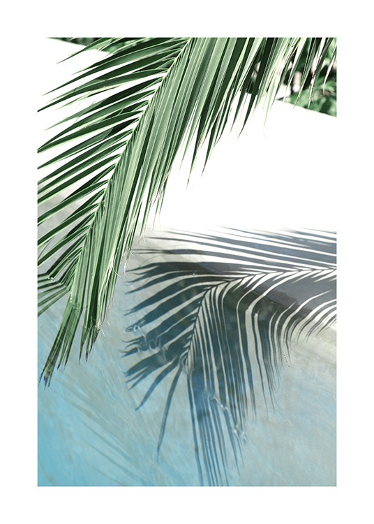 Poolside Palm Reflection Juliste / Valokuvat Osoitteessa Desenio ab (10666)