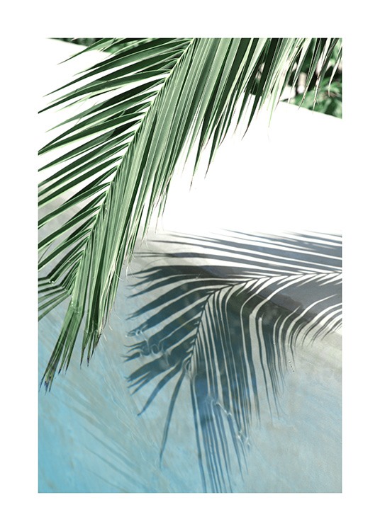 Poolside Palm Reflection Juliste