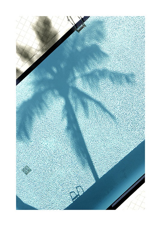 Pool and Palm Tree Juliste / Valokuvat Osoitteessa Desenio ab (10668)