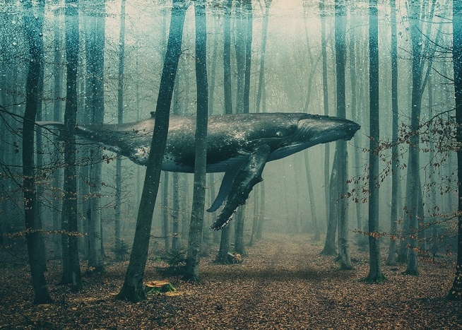 Whale in Forest Juliste