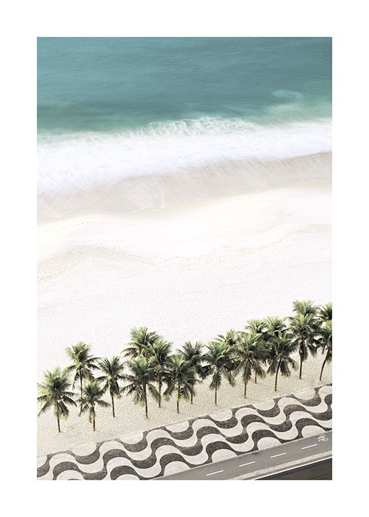 Row of Palm Trees Juliste