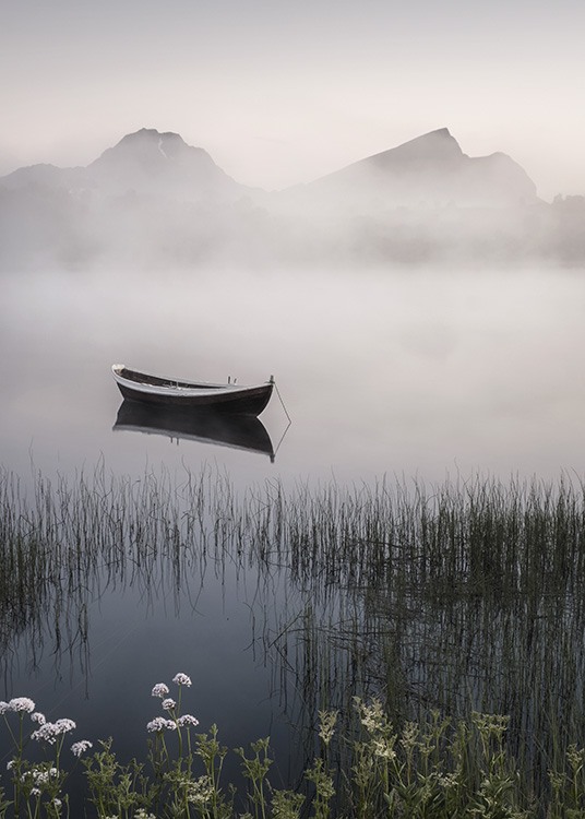 Foggy Summer Night Juliste