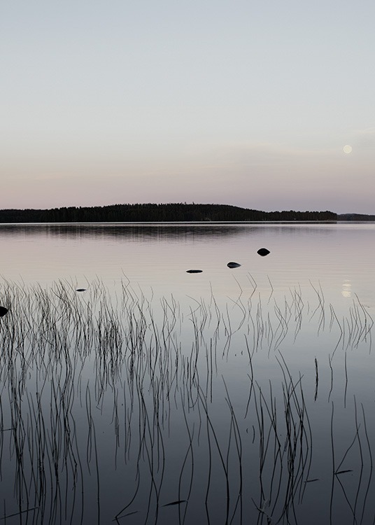 Summer Night Juliste