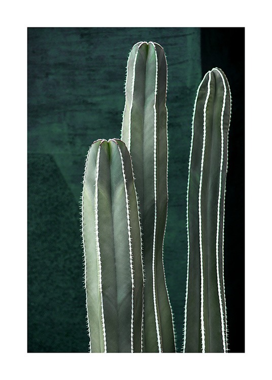Dark Green Cactus Juliste