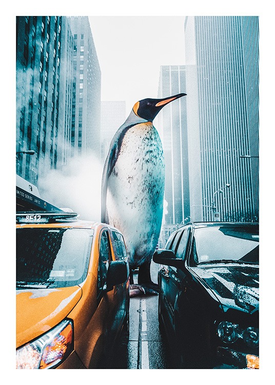 Penguin City Juliste