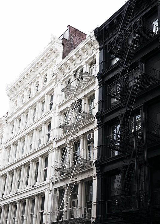 Soho Contrast Juliste