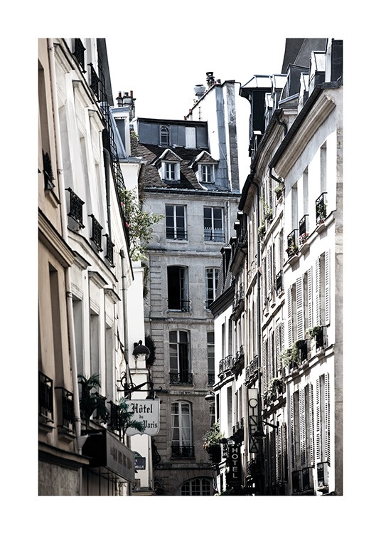 Paris Alley Juliste