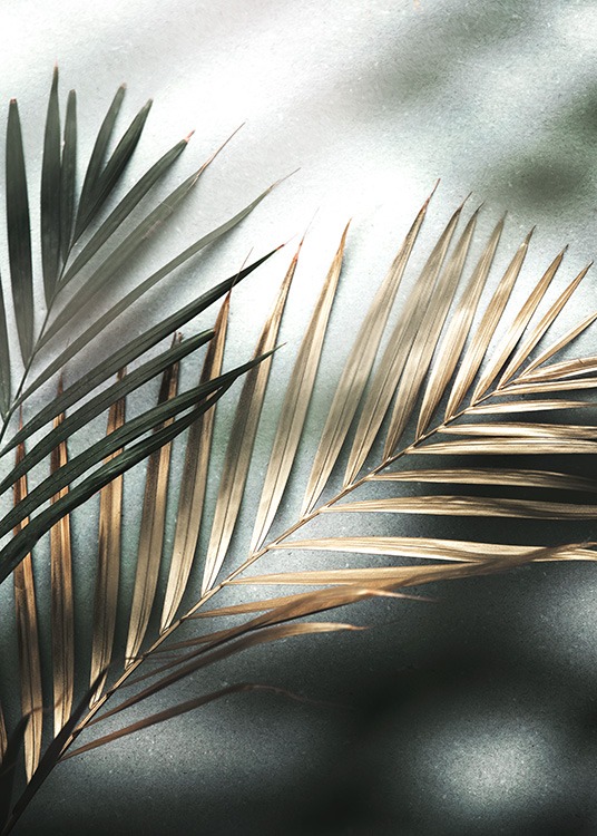 Golden Palm Juliste