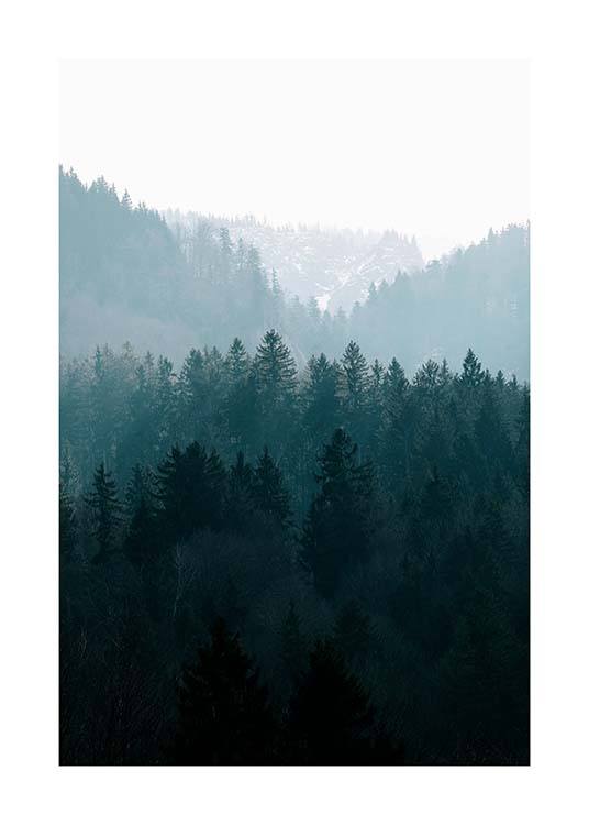 Deep Foggy Forest Juliste