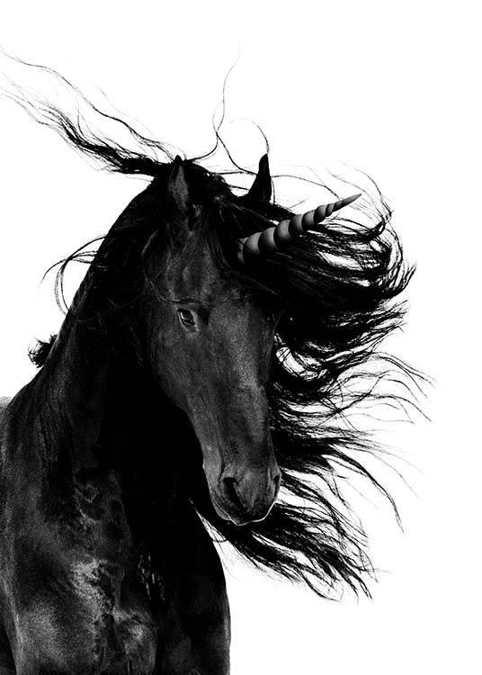 Black Unicorn Juliste