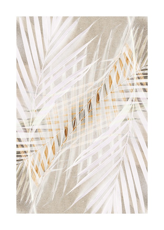 White Palm Leaves Juliste