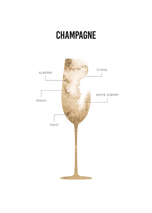 Champagne Anatomy Juliste