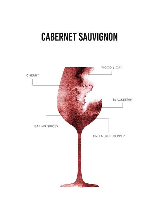Cabernet Sauvignon Anatomy Juliste