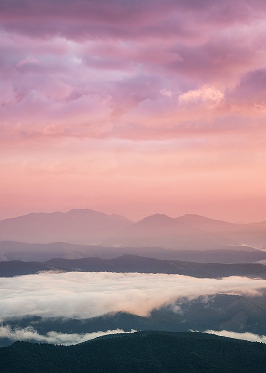 Pink Sunrise Juliste