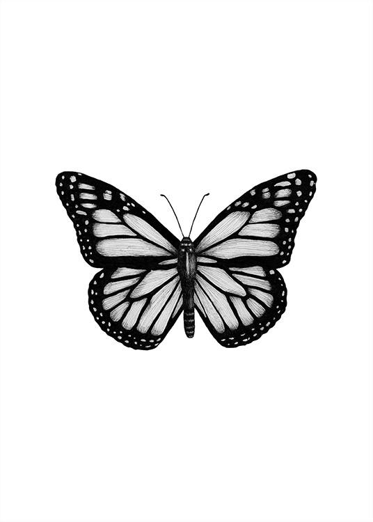 Butterfly Drawing Juliste