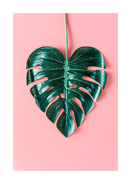 Heart-Shaped Monstera Juliste