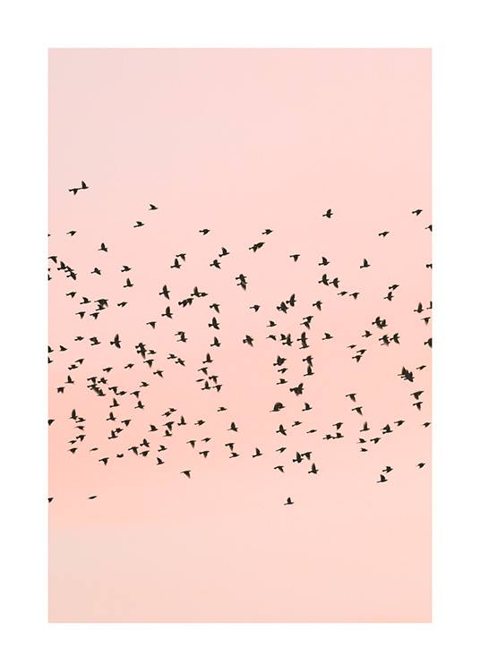 Pink Sunset Birds Juliste