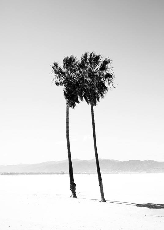 Palm Trees B&W Juliste