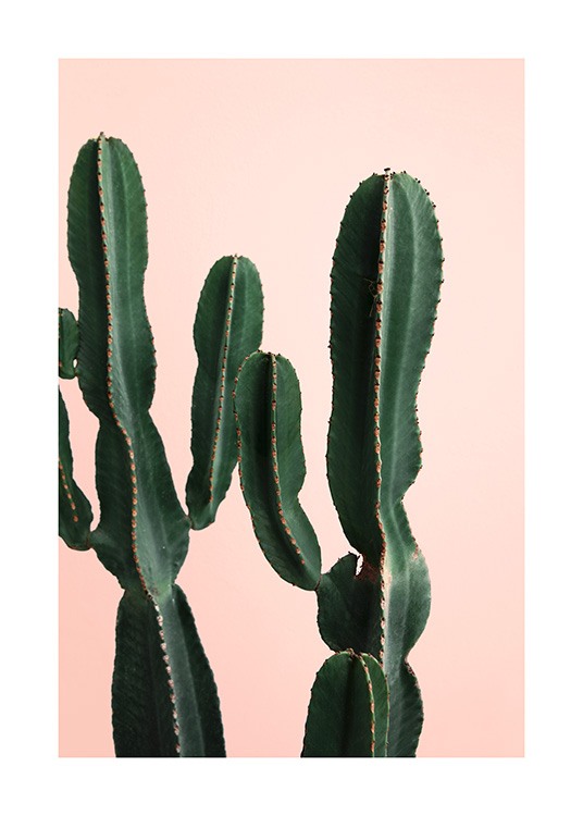Cactus Twins Juliste