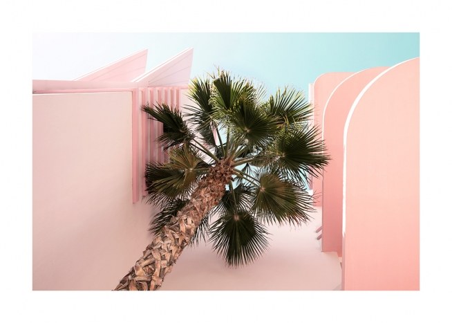 Palm from Beneath Juliste