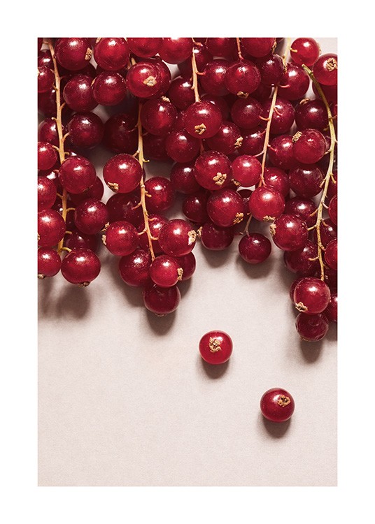 Redcurrant No2 Juliste