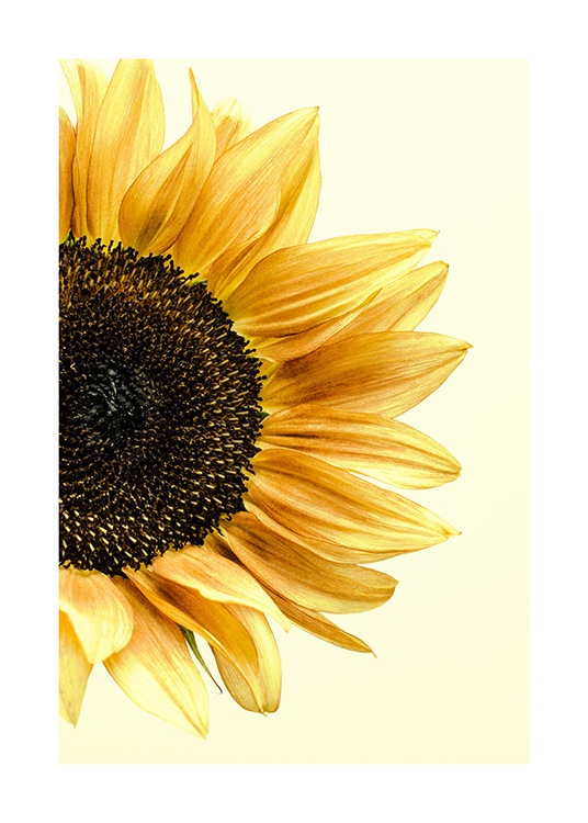 Sunflower Juliste / Valokuvat Osoitteessa Desenio ab (12864)